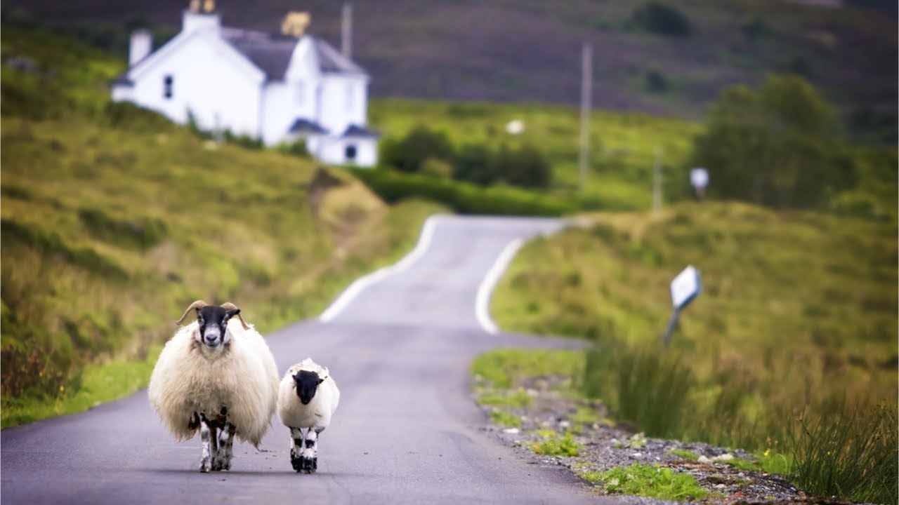Peaceful Celtic Relaxing Instrumental Music, Meditation Music in 4k 