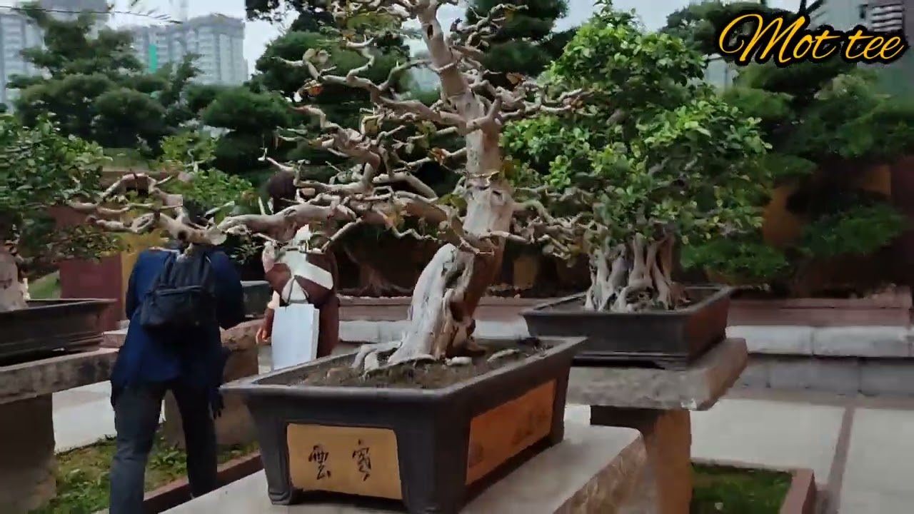 the amazing rock display in Nan Lian Garden: travel vlogs | hongkong | mot tee