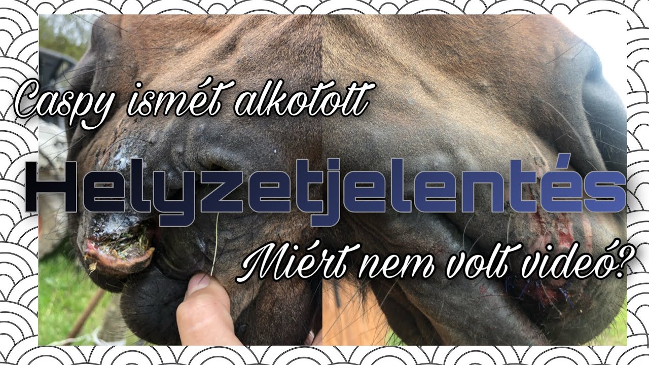 Helyzetjelentés! Caspynak összevarrták a száját? || My life with L&C