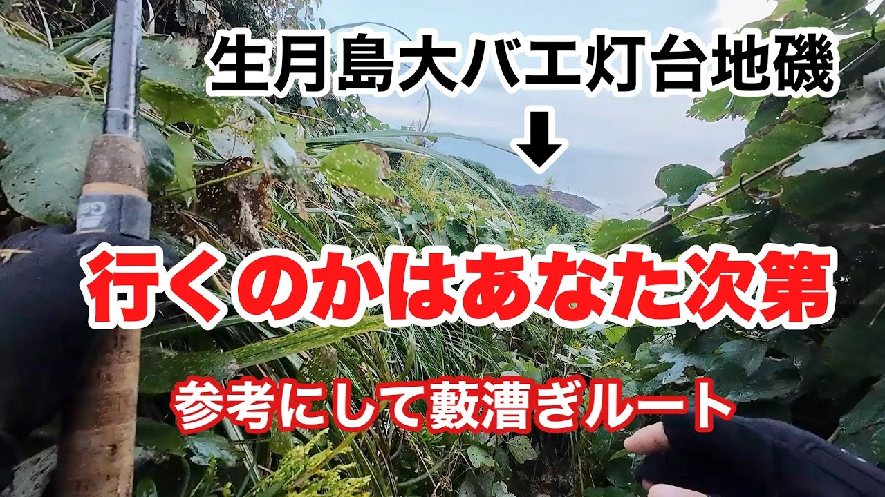 【釣行】生月広バエ灯台「大バエ」藪漕ぎルート