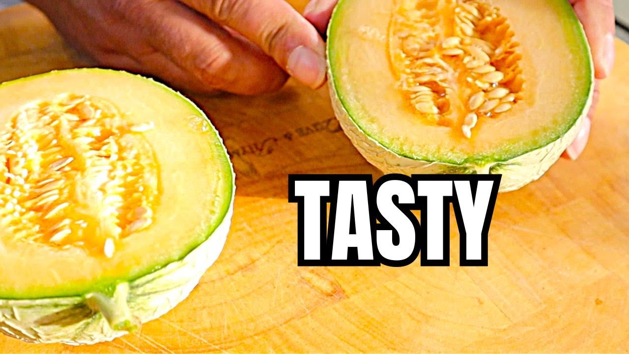 My First-Year Growing Melon: Lessons Learnt🍈 || Melon Harvest Tips & Tricks || How To Grow Melons 🌱