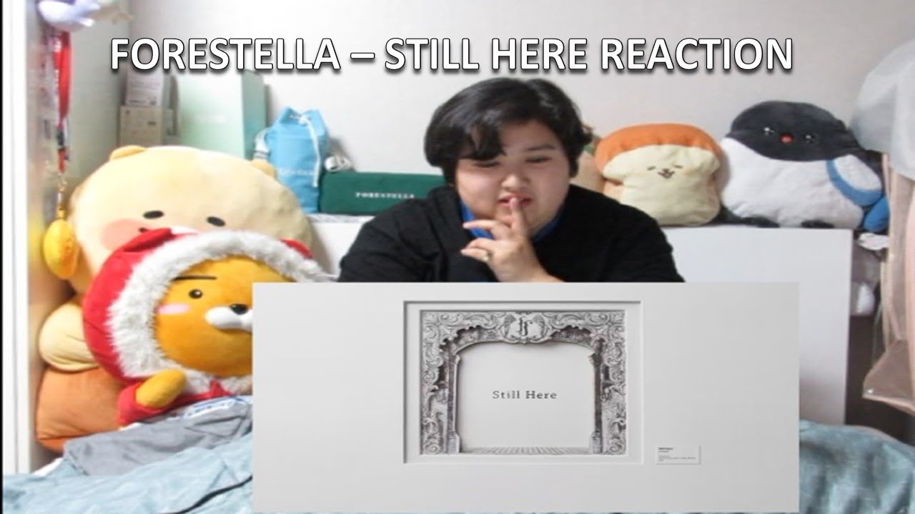 Shy Reacts: Forestella (포레스텔라) - Still Here