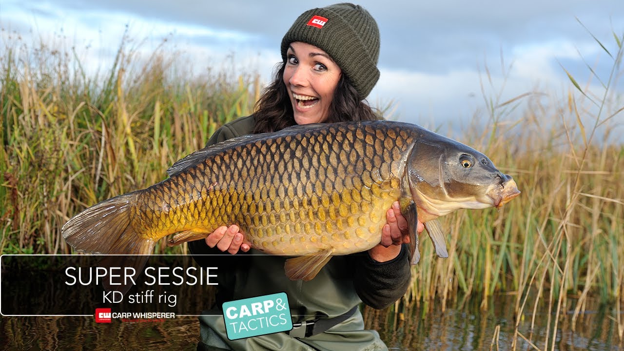 De Fluorocarbon karperrig voor schuwe vissen