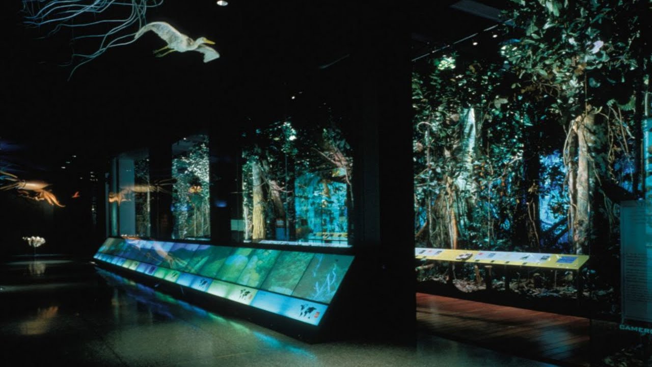 🌴 my utopian scholastic track — “Eden Thesis” 🌱 (Rainforest Museum 🌺 1990s Nostalgia)