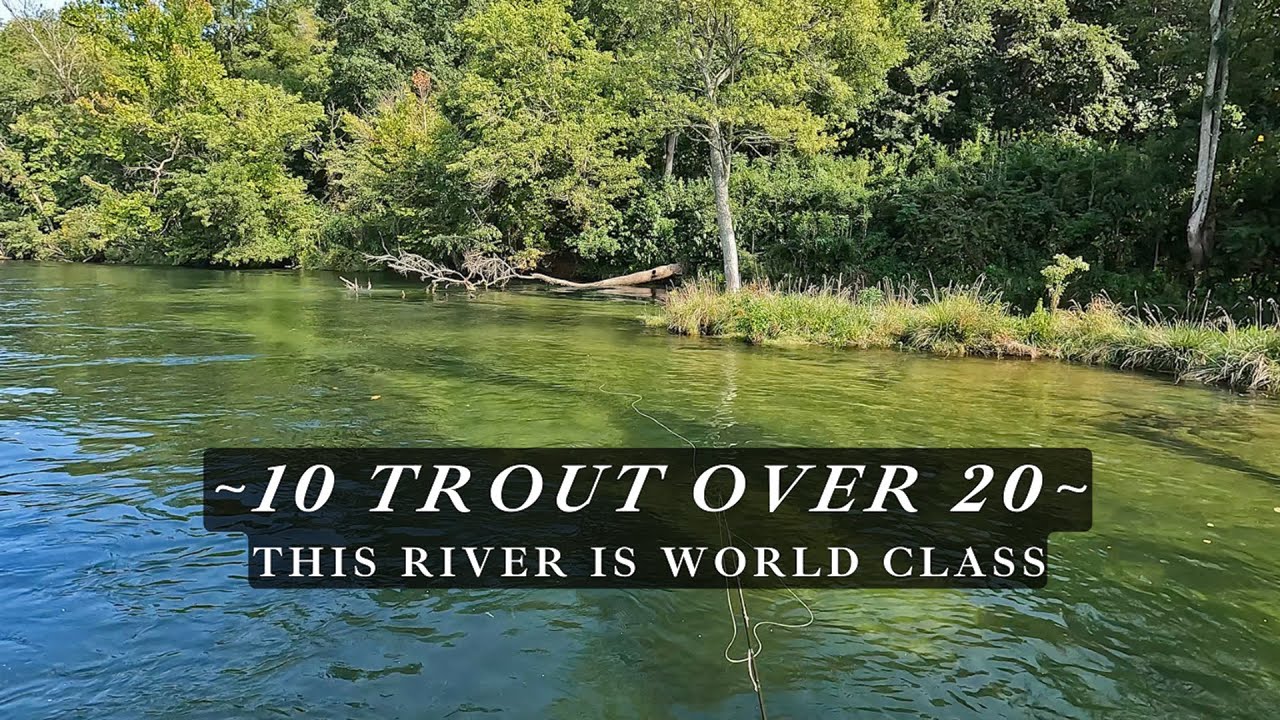 10 trout between 20 and 25 inches - an incredible fly fishing trip!