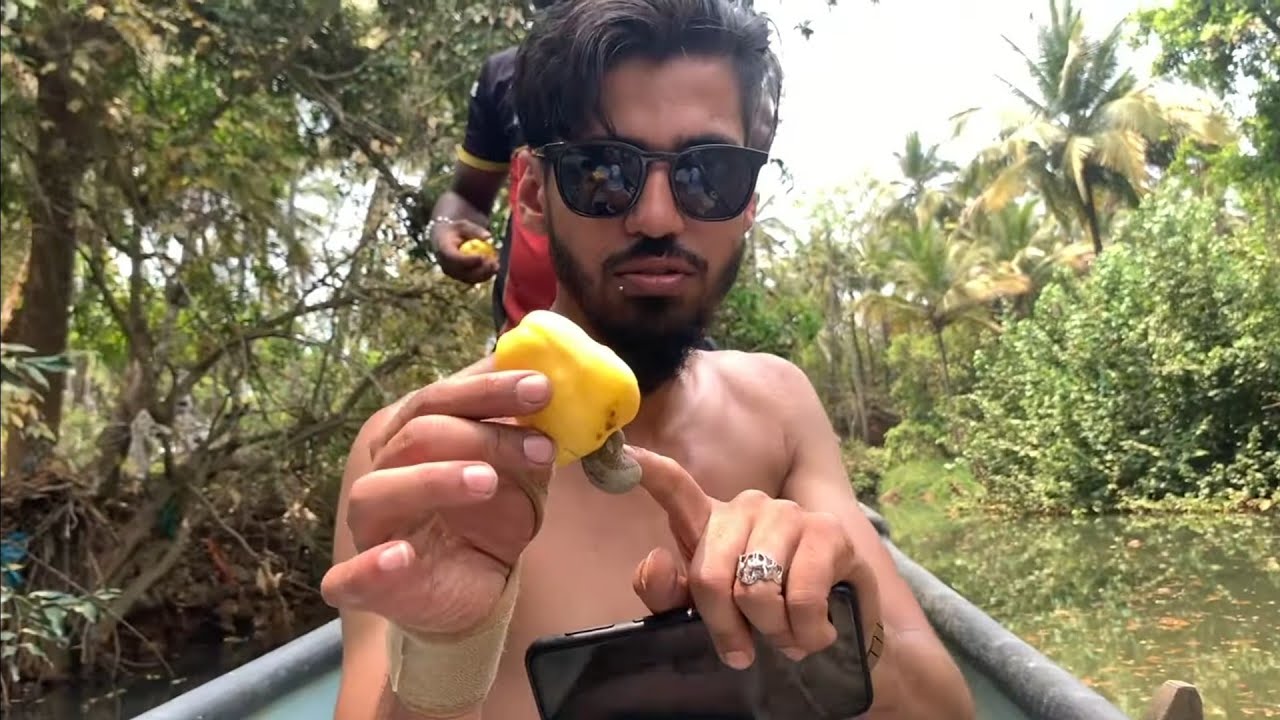 Hidden WILDLIFE of CASHEW WATERs of GOA | Calming Vlog