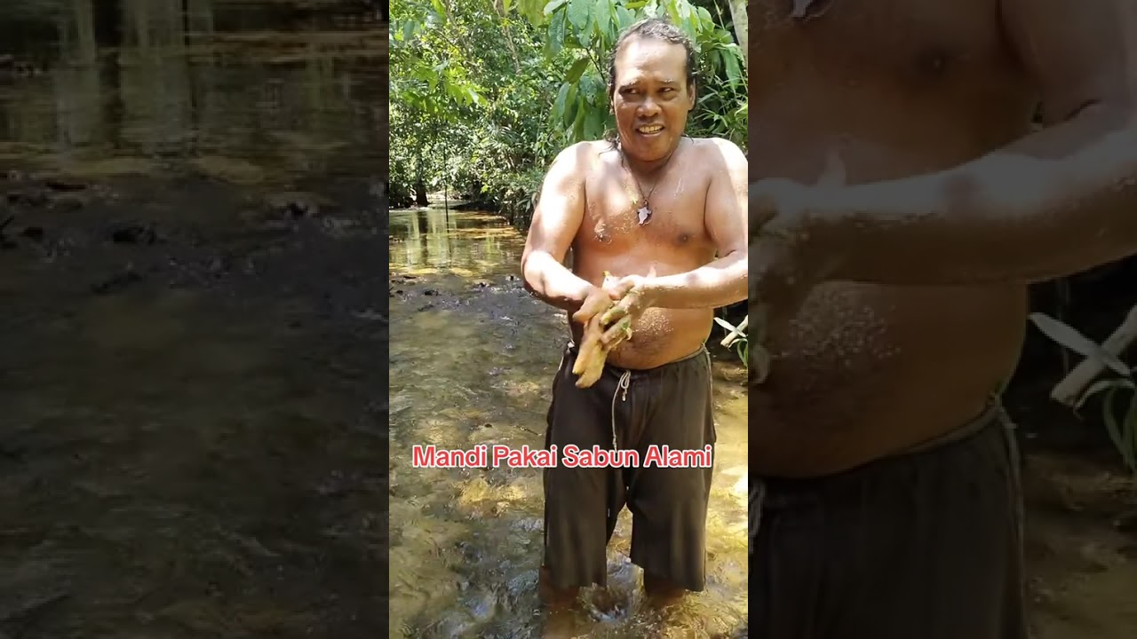Sahabat tani begini lah mandi di hutan , menggunakan sabun alam , daun sabun kali mantan