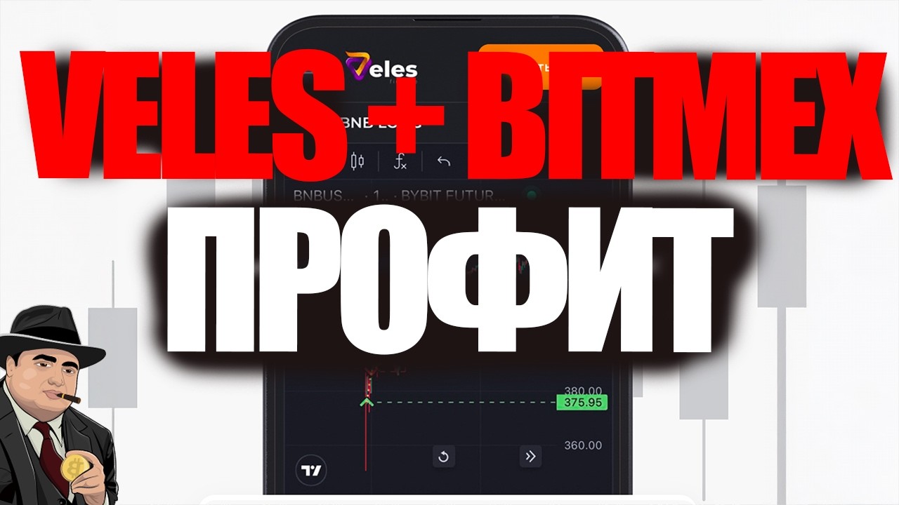 Лучшая стратегия для торгового бота Veles | Подключение к Bitmex