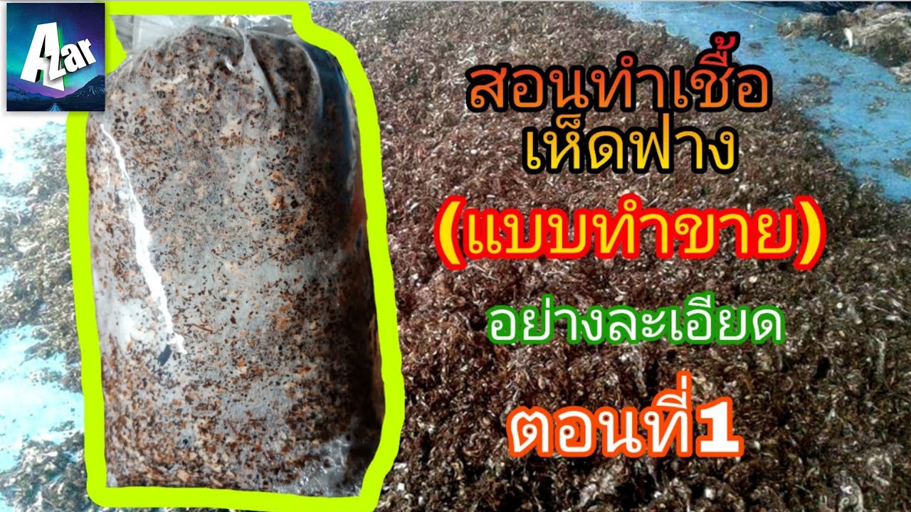 สอนทำก้อนเชื้อเห็ดฟาง( แบบทำขาย) อย่างละเอียด ตอนที่1