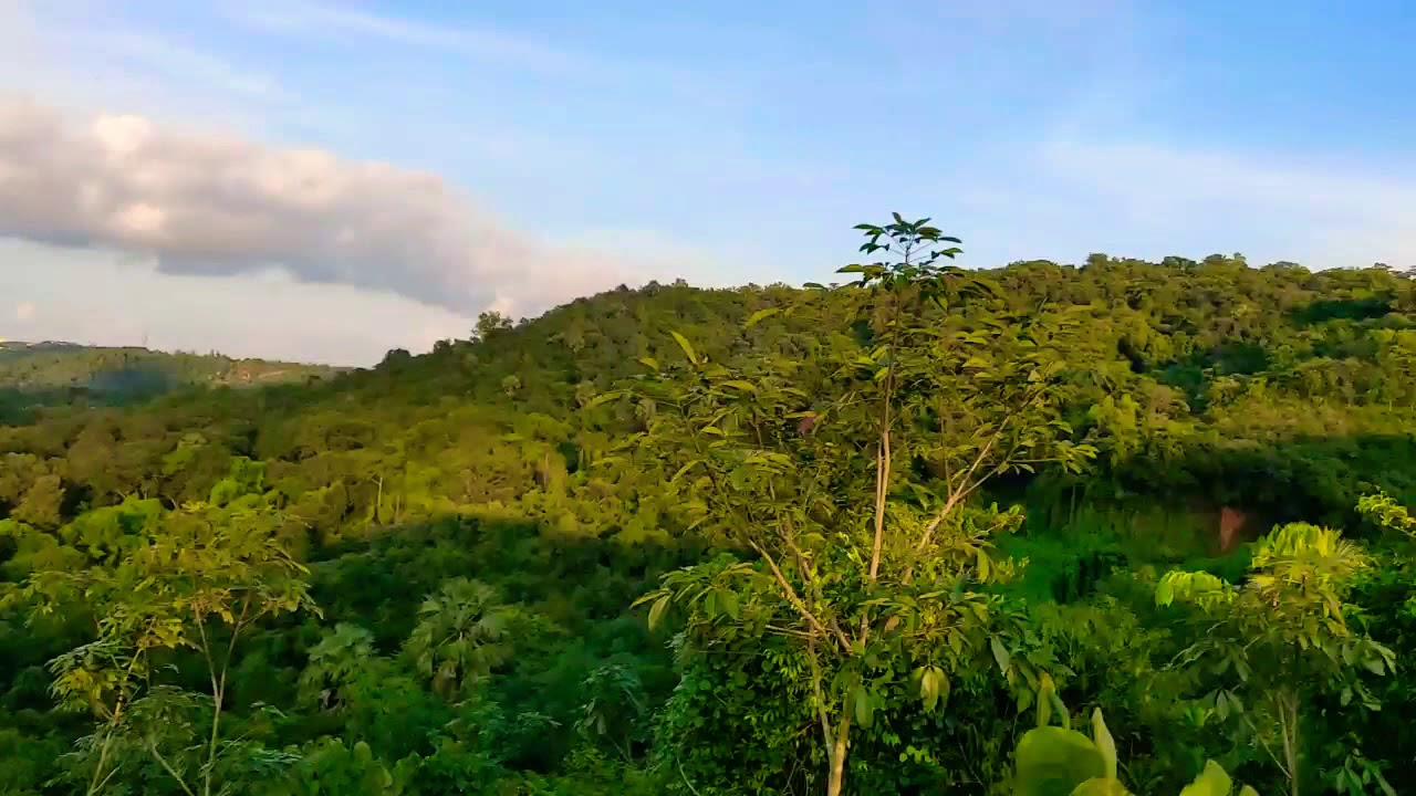 Amazing sunset view from the beautiful hills of South India.