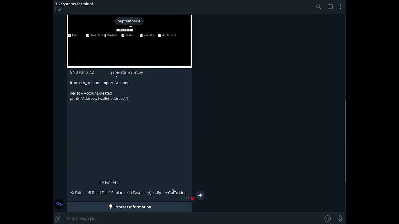 TG.Systems | Demo Video #2 | Generating A Safe Wallet On A Server Using TG.Systems Terminal.