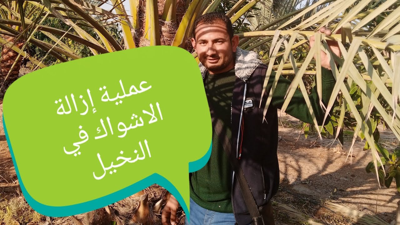 أفضل طرق التشويك على الاطلاق مع جوزيف بولس!