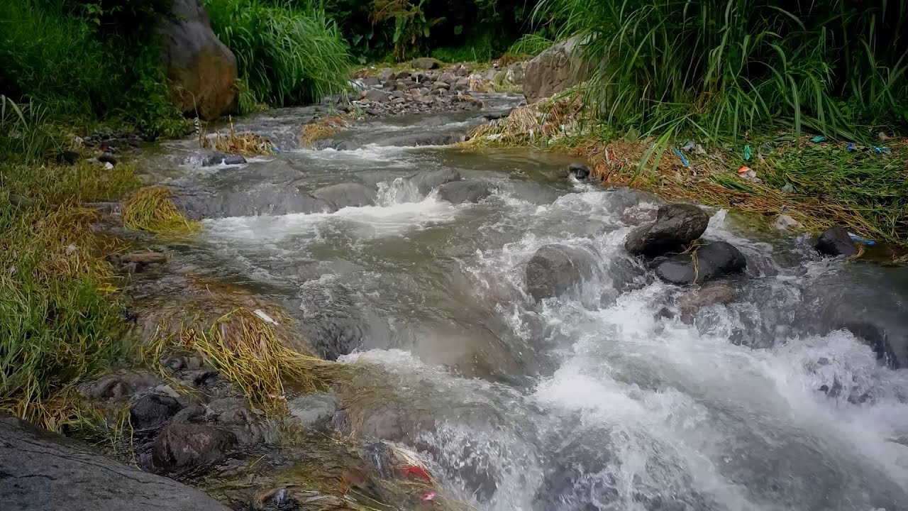 4K Abundant Water Flow Mesmerizing Cascading Stream Relaxing  Sounds ASMR🌳 #stream #river #nature .