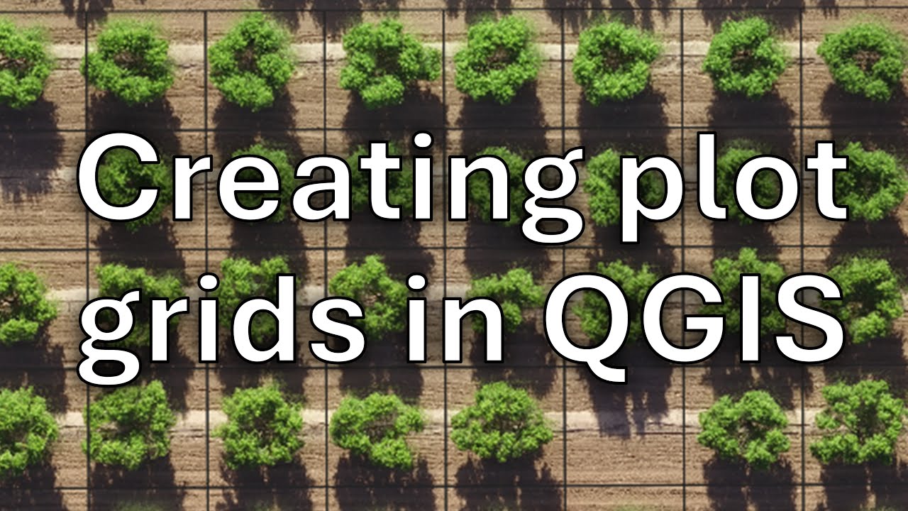 How to separate plots and extract plot data using QGIS (Drones in agriculture series, 6/10)