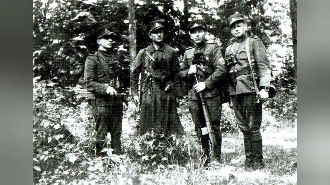 Армия Свободы Литвы (Зелёные) - Лесные Братья - Lithuanian Freedom Army (Green) - Forest Brothers.