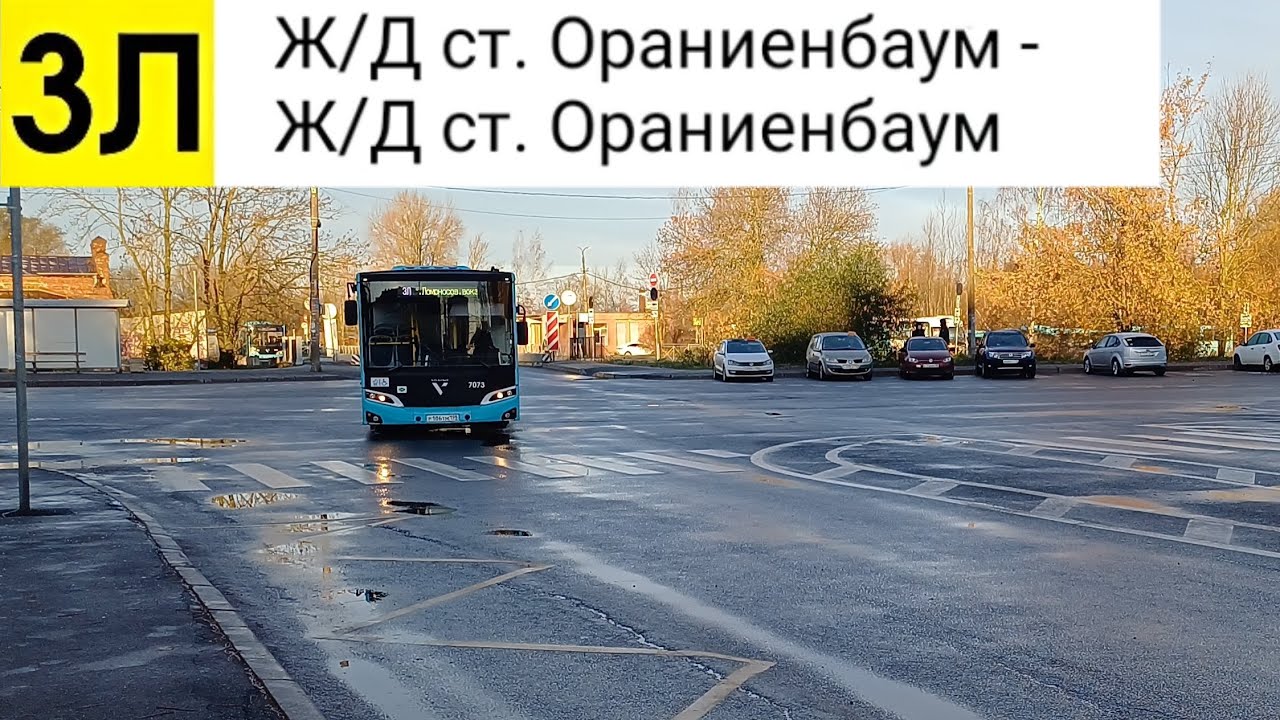Автобус 3Л. Ж/Д ст. Ораниенбаум - Ж/Д ст. Ораниенбаум (кольцевой)