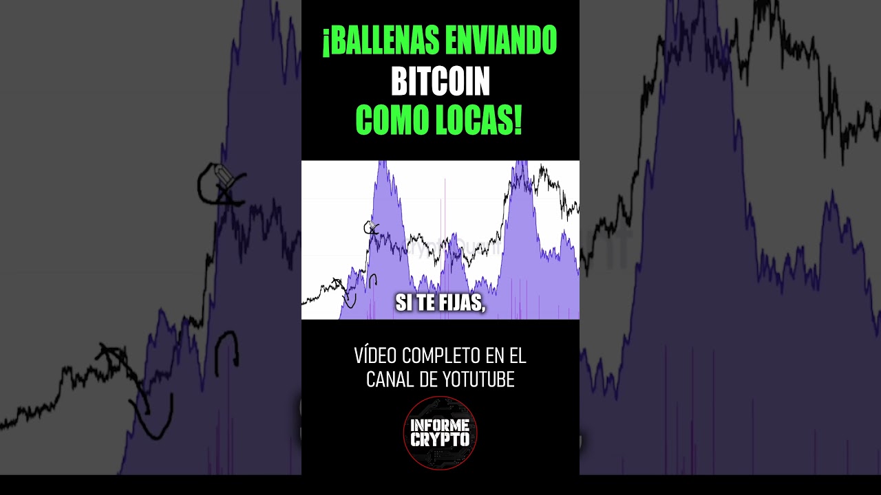 🚨As&iacute; las ballenas est&aacute;n moviendo Bitcoin hacia los exchanges 📊🐋