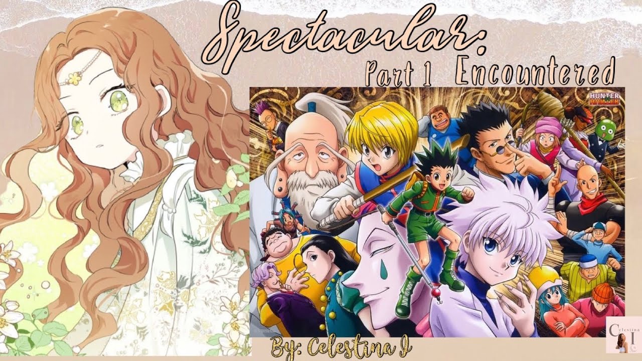 Spectacular: Encountered (Hunter x Hunter x Y/n) Text Story Part 1