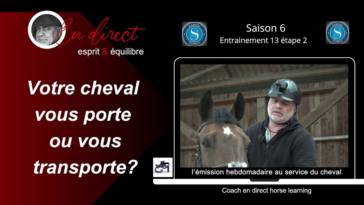 les muscles qui  décontractent nos chevaux avec @COACH EN DIRECT Horse learning
