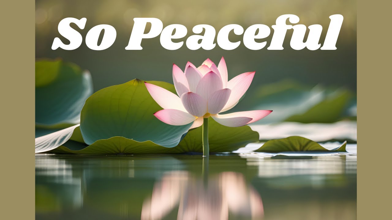 Transform Your Backyard Build a Wildlife Pond!