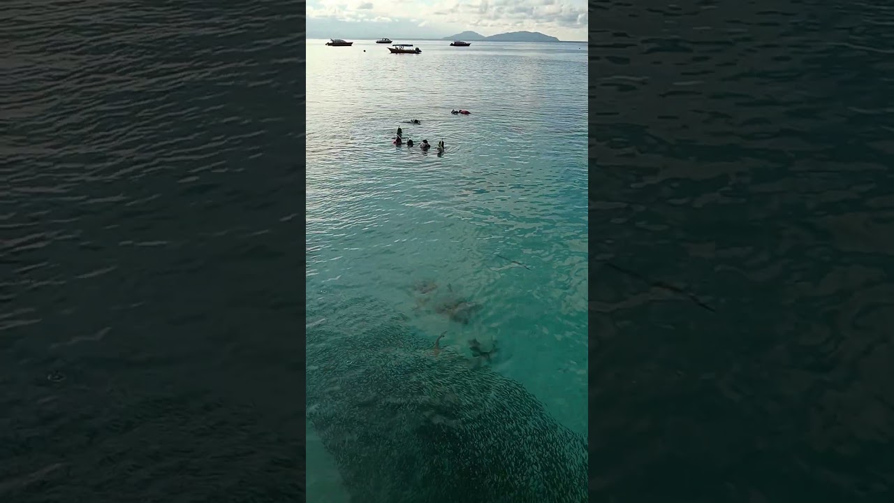 Perhentian Island &ndash; Privat b&aring;t med Mat & Man 2026