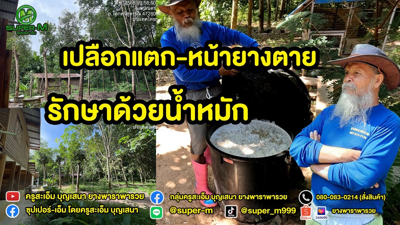EP.102 เปลือกแตก หน้ายางตาย รักษาได้ด้วยน้ำหมักสูตรซุปเปอร์-เอ็ม