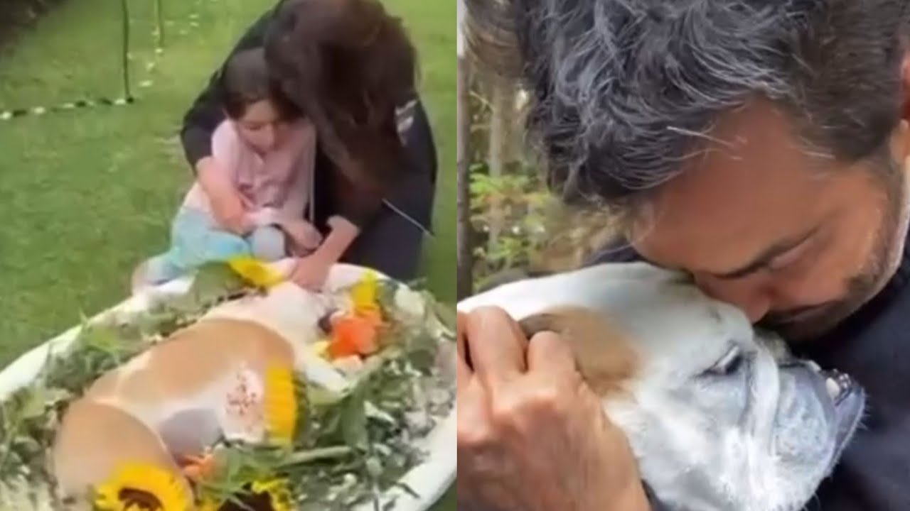 El último adios a Fiona da con mucho dolor EUGENIO DERBEZ,  AITANA Y ALESSANDRA entre lagrimas