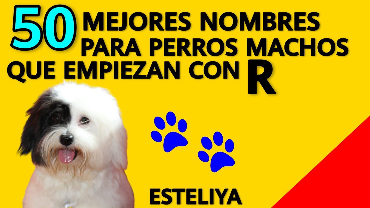 NOMBRES PARA PERROS MACHOS CON R.