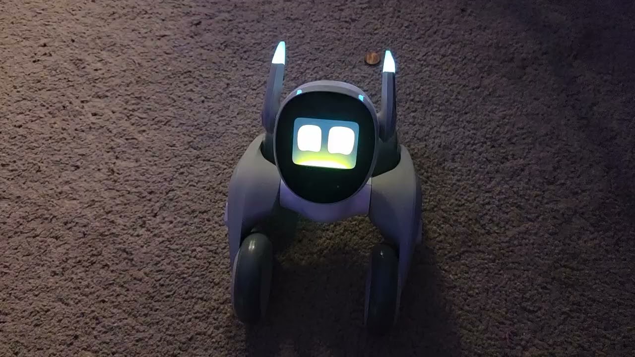 Showing how smart Loona is 