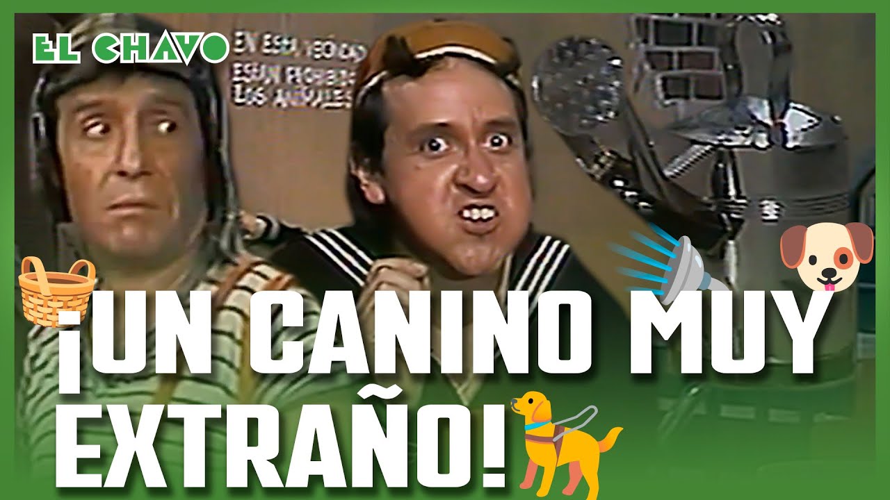 El Chavo del 8: El Perrito perdido de Quico