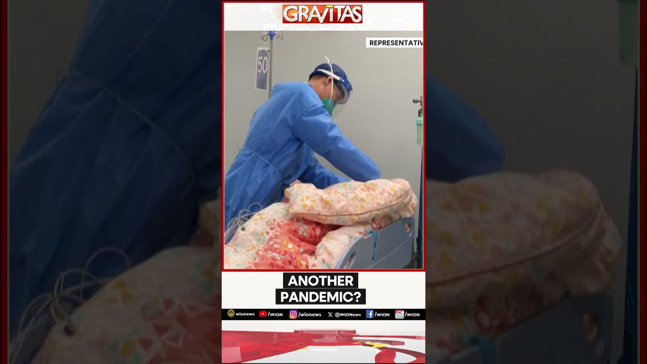 China's 'Batwoman' Finds Deadly New Coronavirus | WION Shorts