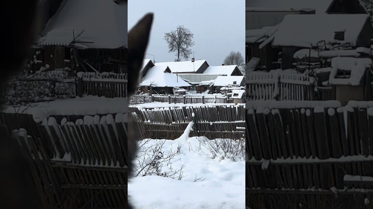 Дорога в дом у озера.