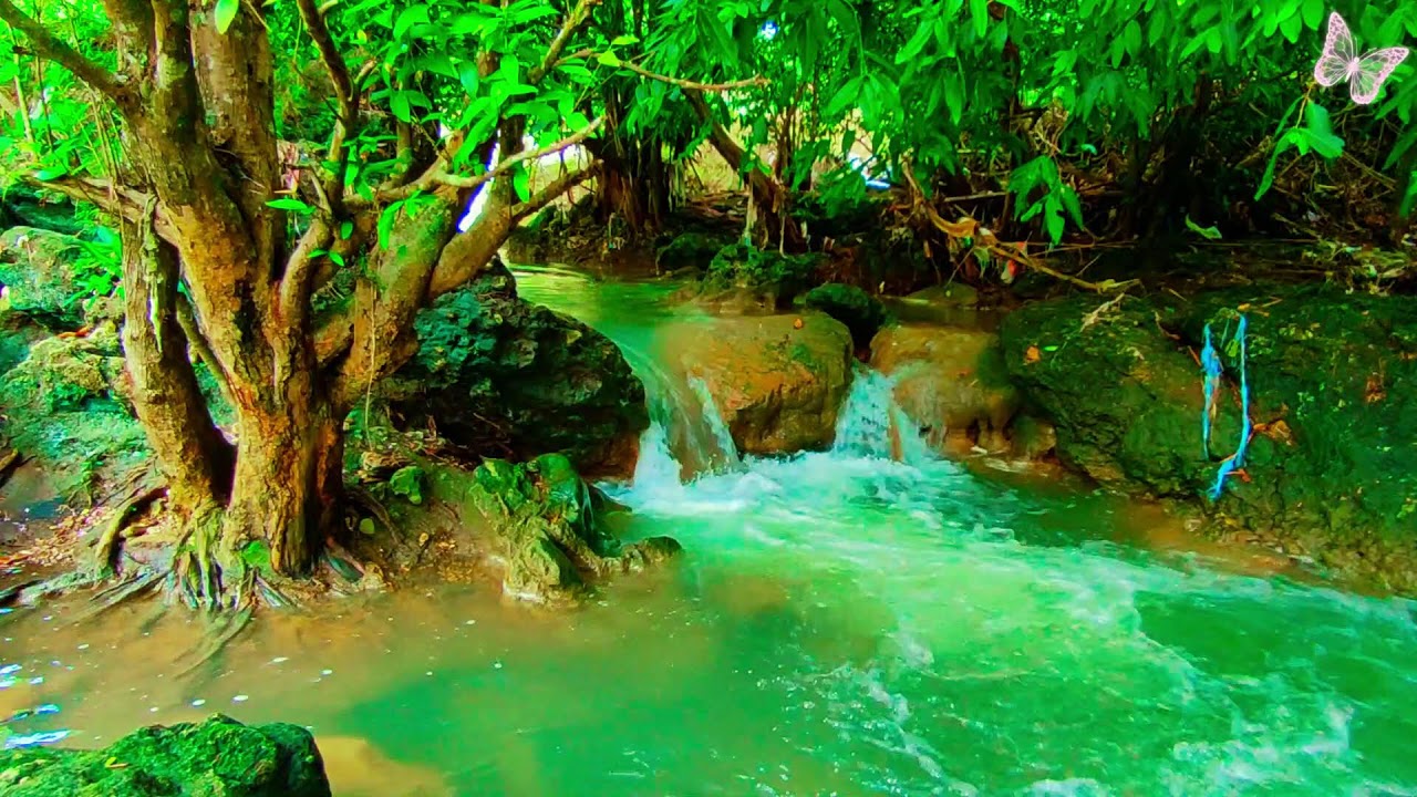 Relaxing Music For Stress Relief, Anxiety and Depressive States🌲Heal Mind, Body and Soul 82