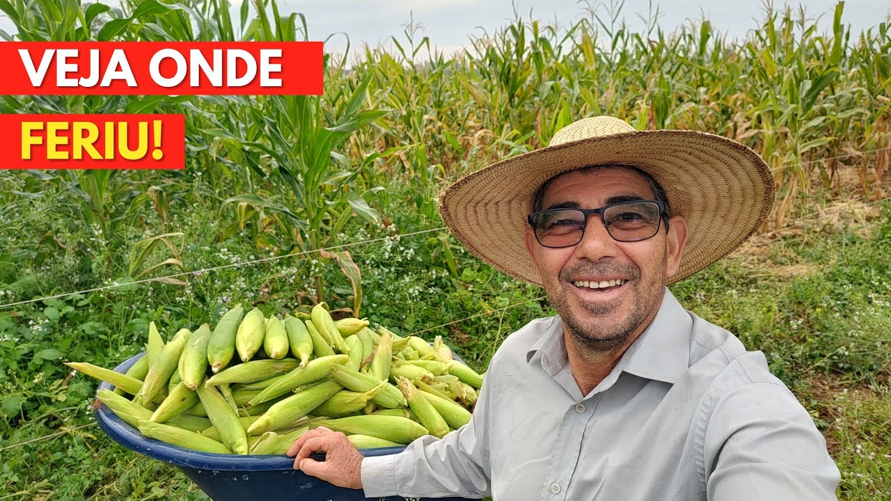 Resultado da TRAGÉDIA Que Cometi, Veja Onde Feriu o Erro!