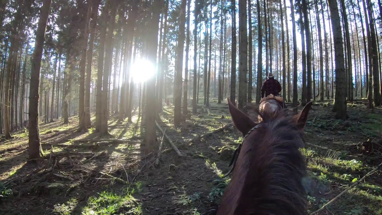 Spätherbst in der Vulkaneifel