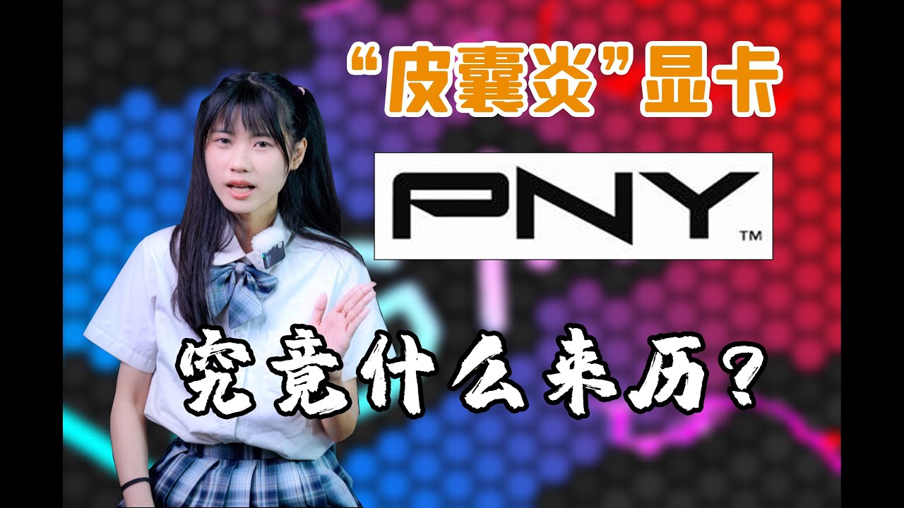 【顯卡小課堂】PNY顯卡是雜牌嗎？就憑他能接替EVGA重現輝煌嗎？PNY顯卡歷史姿♂勢科普~！PNY显卡是杂牌吗？就凭他能接替EVGA重现辉煌吗？PNY显卡历史姿♂势科普~！
