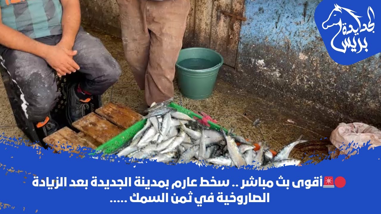 🔴🚨أقوى بث مباشر .. سخط عارم بمدينة الجديدة بعد الزيادة الصاروخية في ثمن السمك ..…