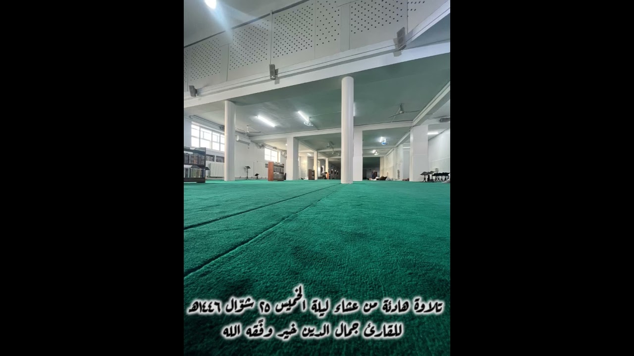 تلاوة للقارئ جمال الدين خير من صلاة عشاء ليلة الخميس ٢٥ شوال ١٤٤٦ هـ #اكسبلور #لايك #قرآن
