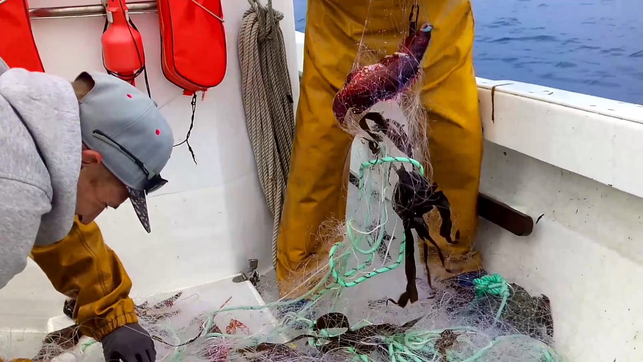 VLOG : Sortie en mer #6 /Le filet sauve les meubles !/