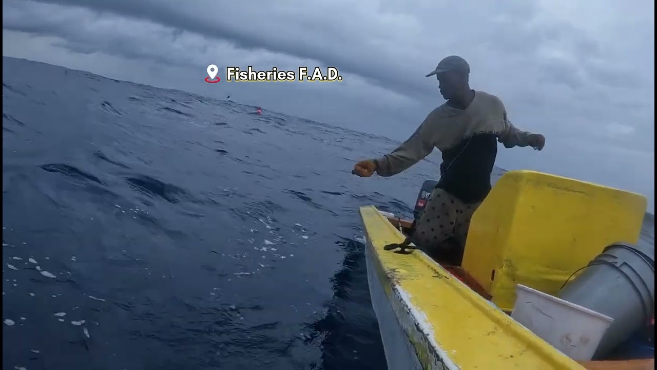 Dominica🇩🇲 F.A.D. Fishing🎣 Small Black & Yellowfin Tuna