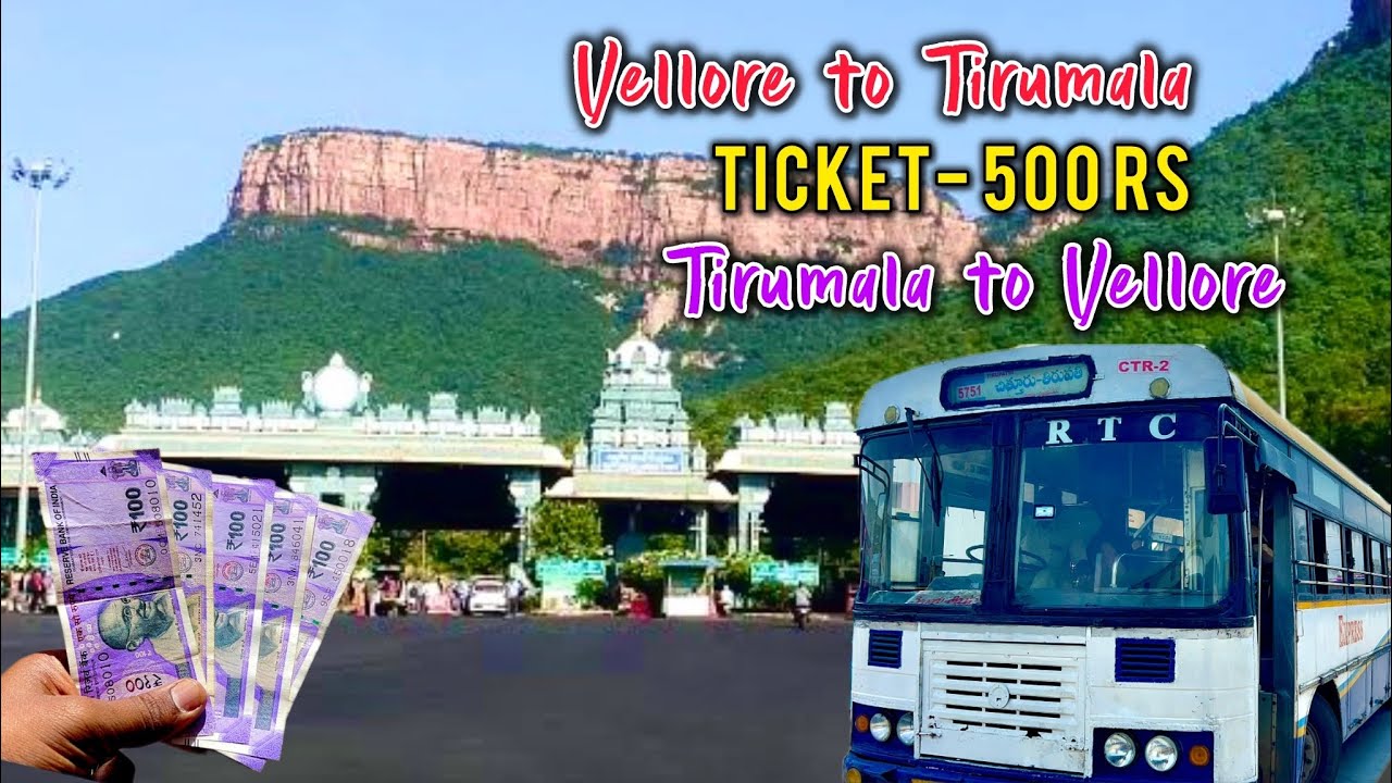 Vellore To Tirumala Tirupati 500Rs Bus Travel | 500 ரூபாய் வேலூர் - திருமலை திருப்பதி பேருந்து பயணம்