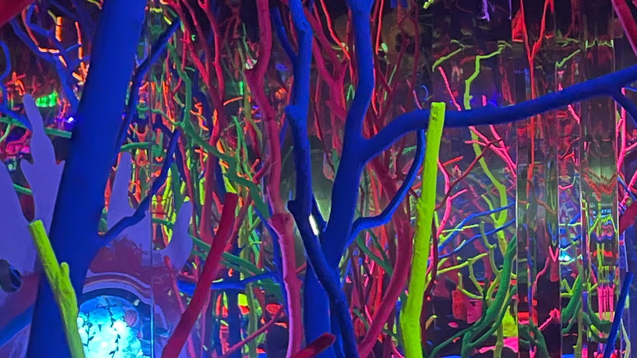 Silent Walk through of Meow Wolf Grapevine: The Real Unreal!