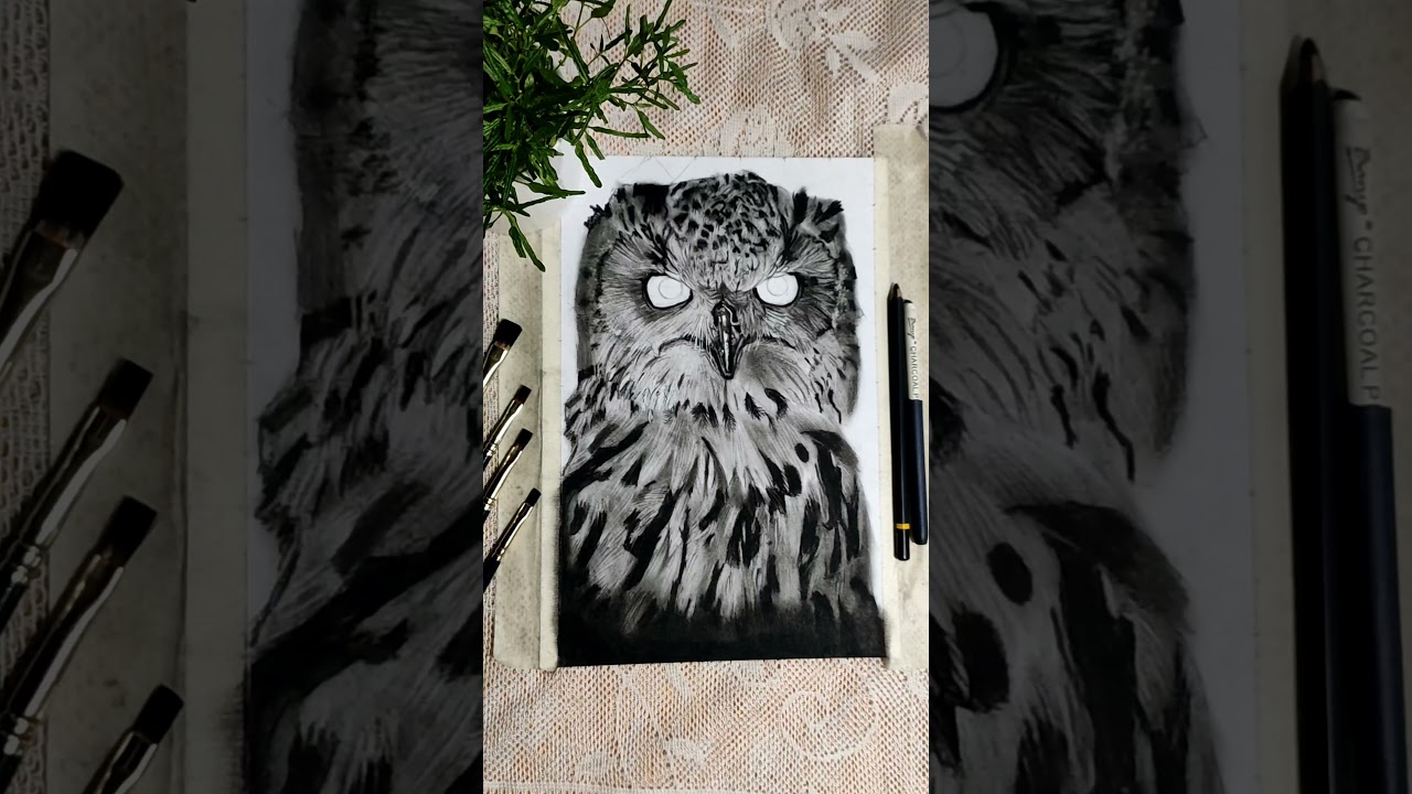 owl using charcoal pencils