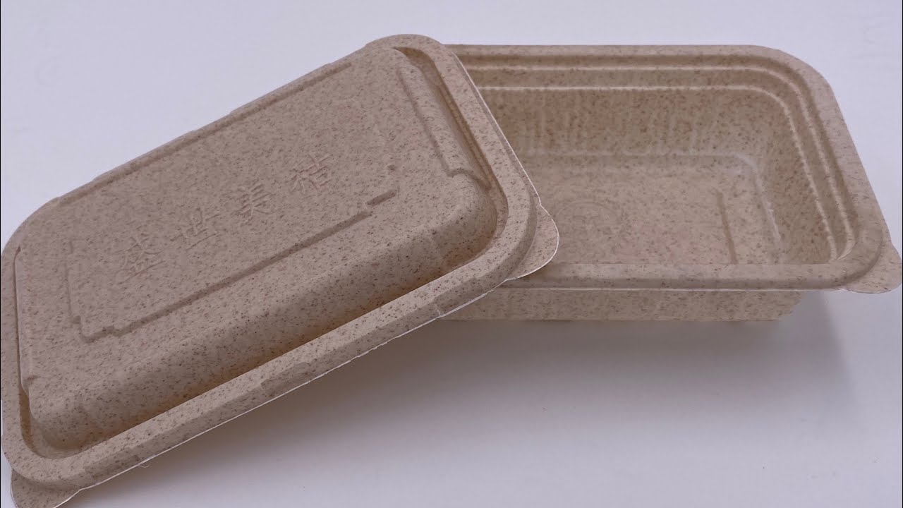 Biodegradable Corn Starch Rice Husk Lid Making Automatic Thermoforming Machine