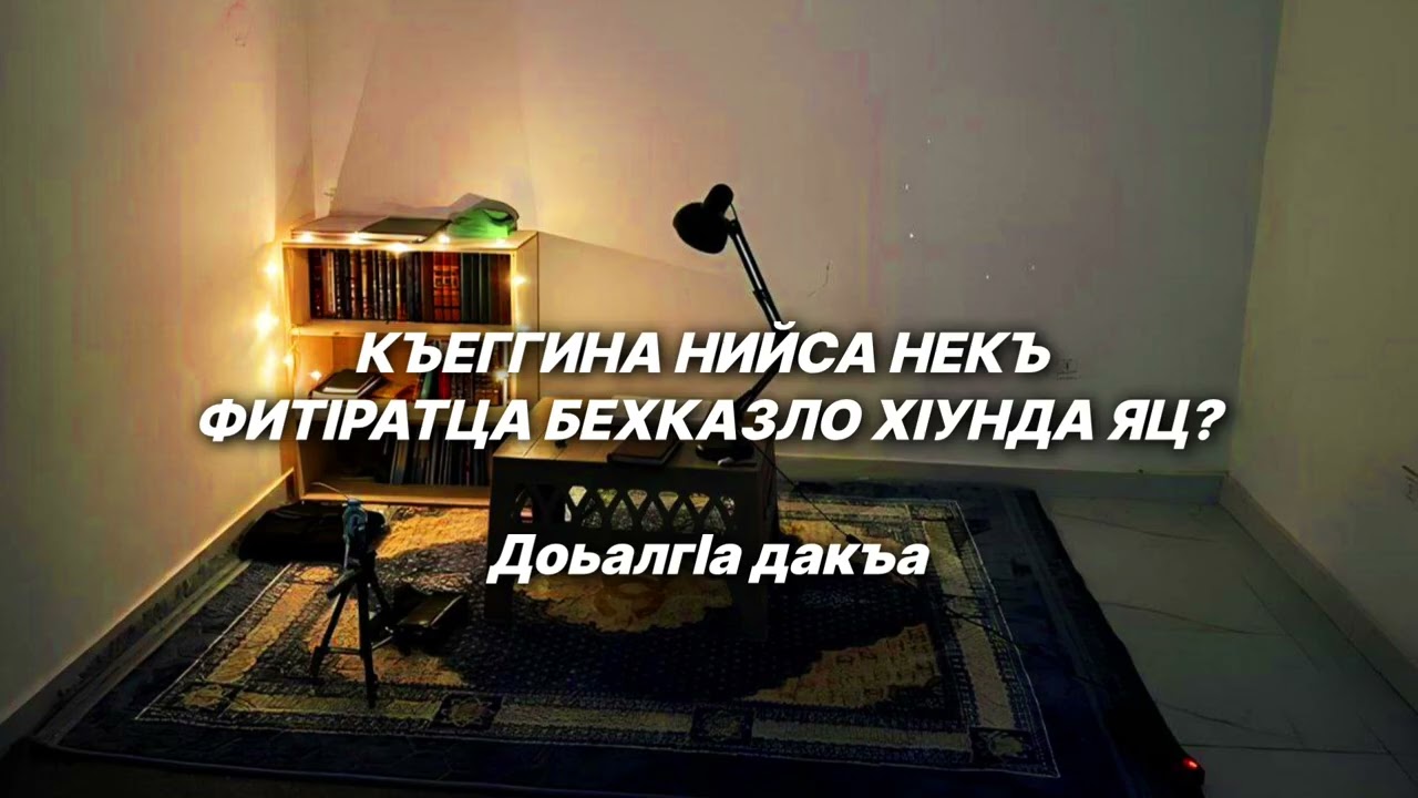 Шейх lели | Къеггина Нийса некъ Фитlротца цун хот балар Бехказло хlунда яц? Доьалгlа дакъа.