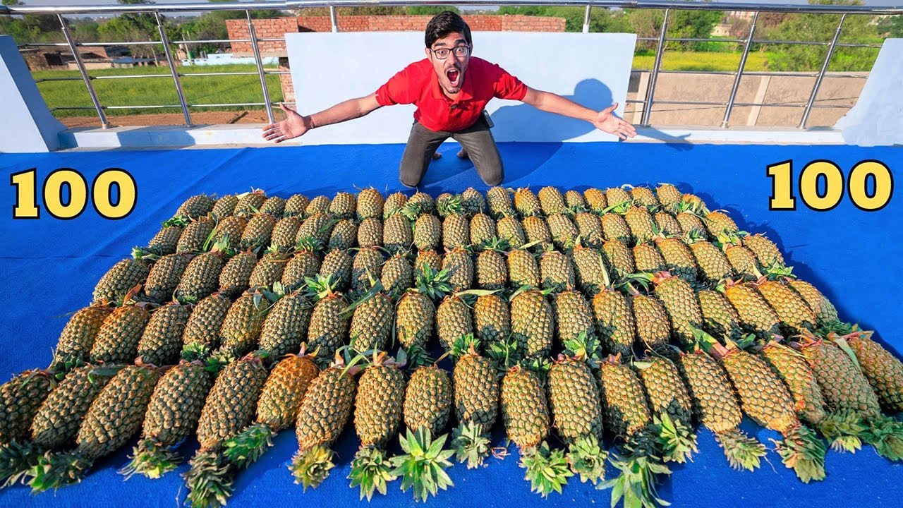 Extracting Juice From 100 Pineapples | 100 अनानास में कितना जूस निकलेगा?