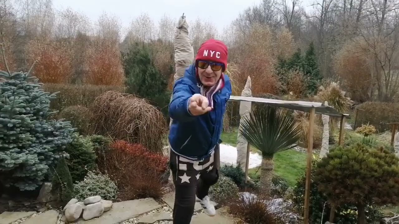 trachykarpus 🌴 při mínus 11 🤐 plus Petrovo video z Opavy zimování Butie🌴👍