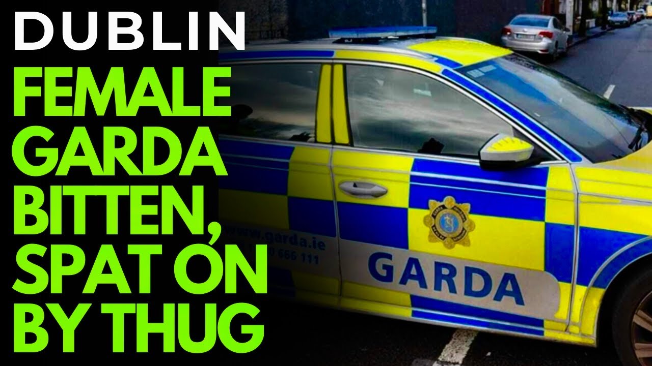 DUBLIN - TWO GARDA&Iacute; HOSPITALISED AFTER 'VICIOUS, COWARDLY ATTACK'