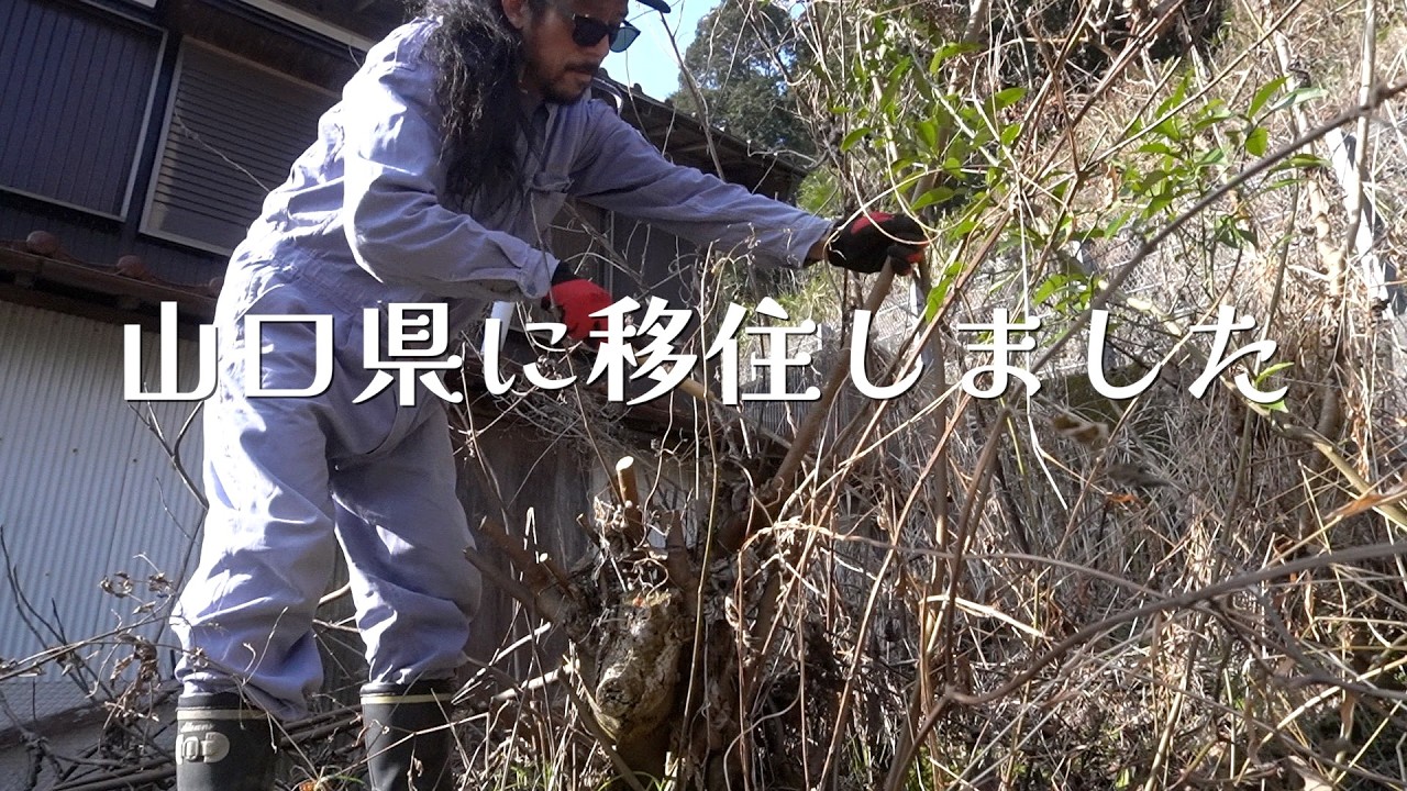【新生活】高崎から父の実家の山口県に移住する。庭プロジェクト始動。