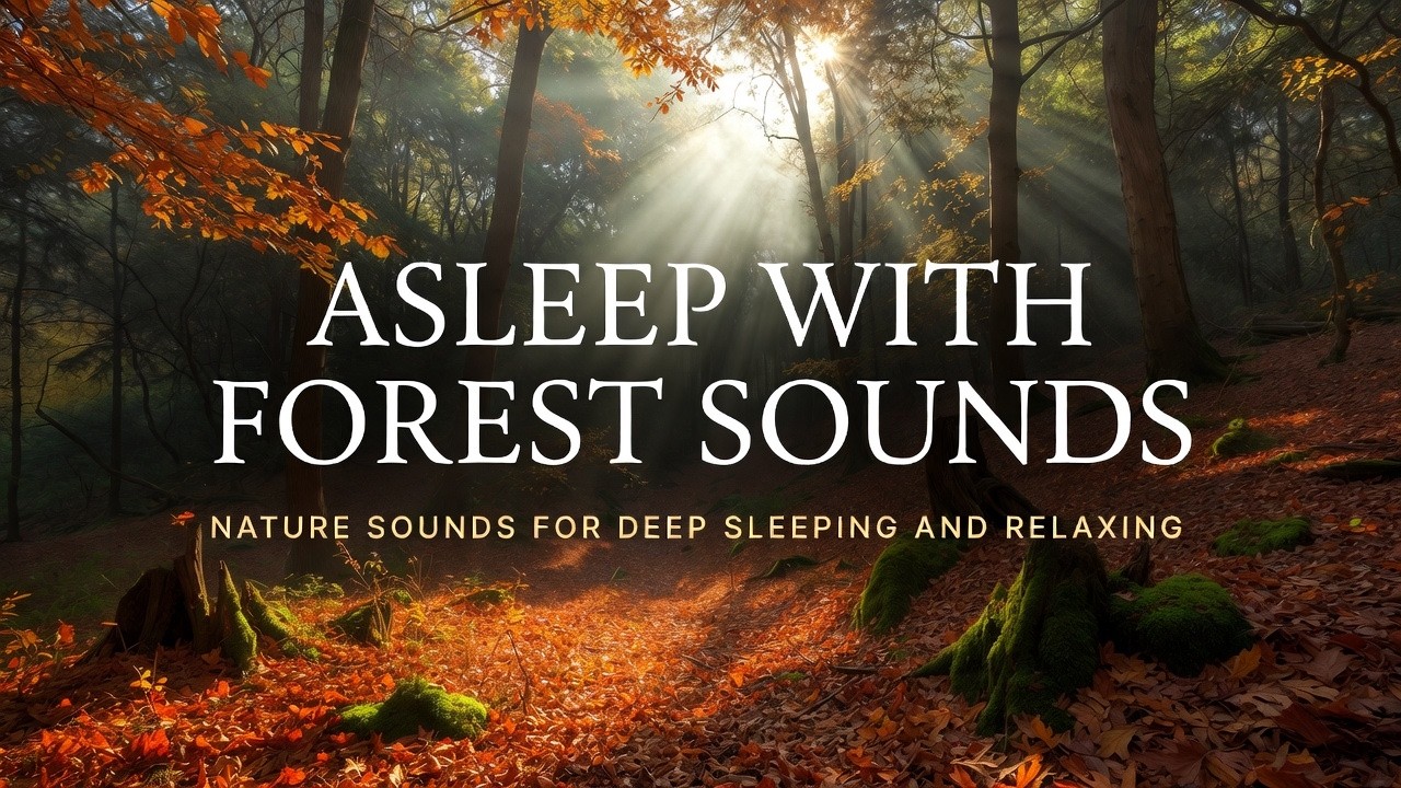 Asleep With Forest Sounds🌳, Nature Sounds For Deep Sleeping and Relaxing, #nature #forest #relax